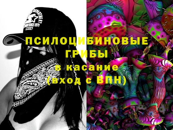 прущий лед Анива