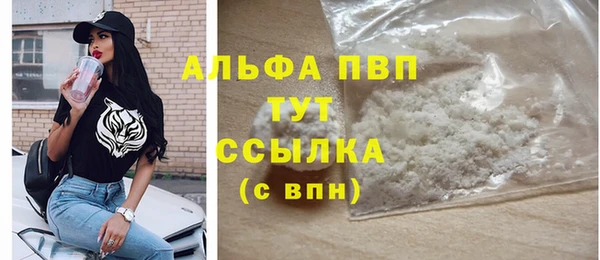 прущий лед Анива